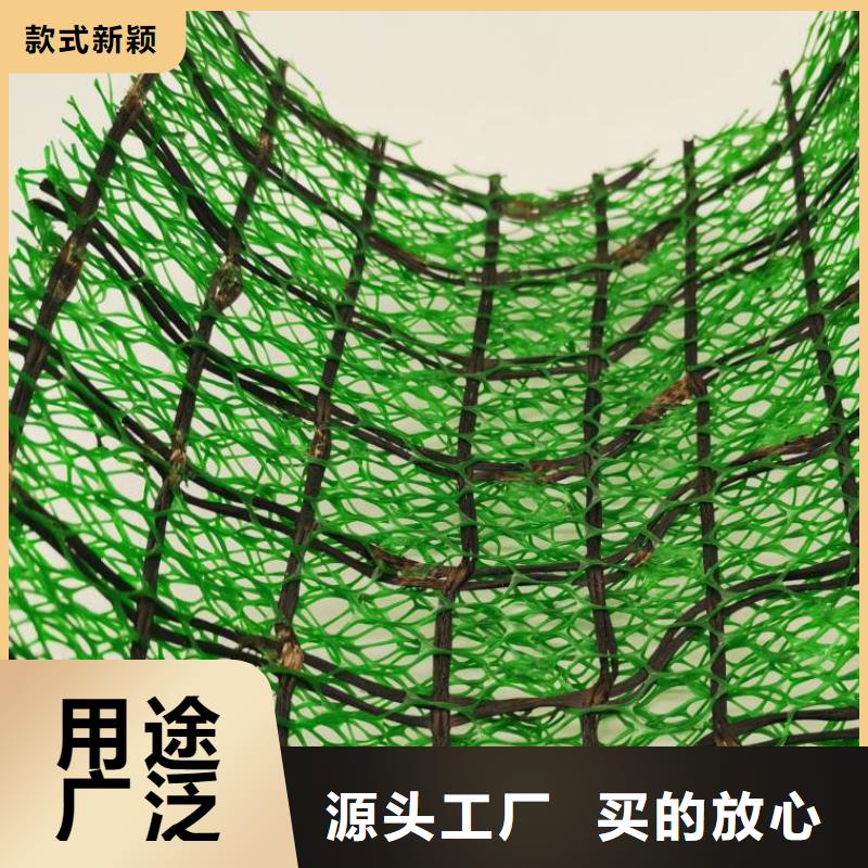 三维植被网排水板供货及时