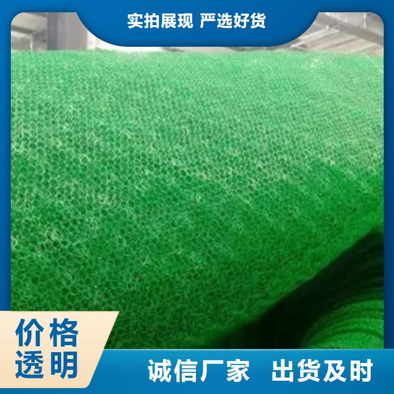 三维植被网-水泥化粪池商家