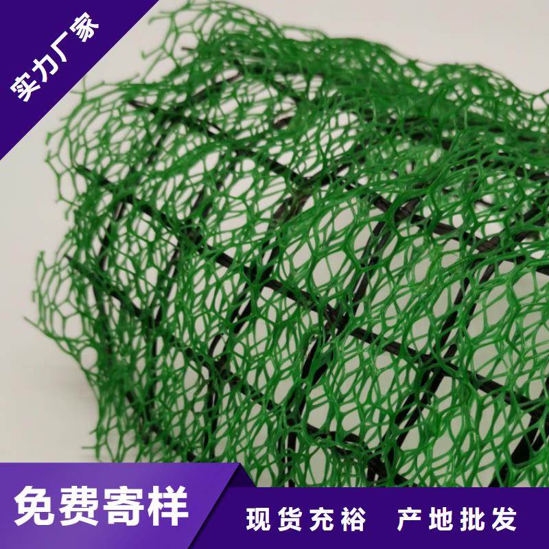 三维植被网,车库虹吸排水系统专业厂家