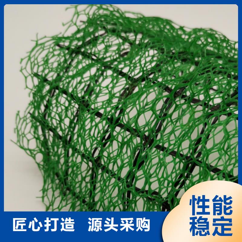 三维植被网_防护虹吸排水收集系统可定制