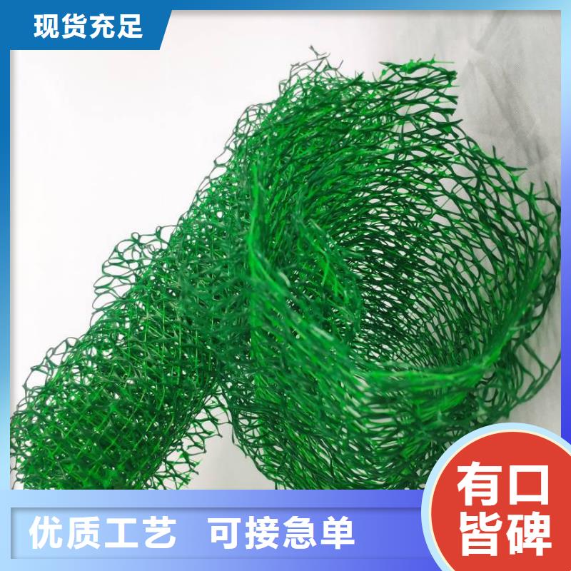 三维植被网排水板供货及时