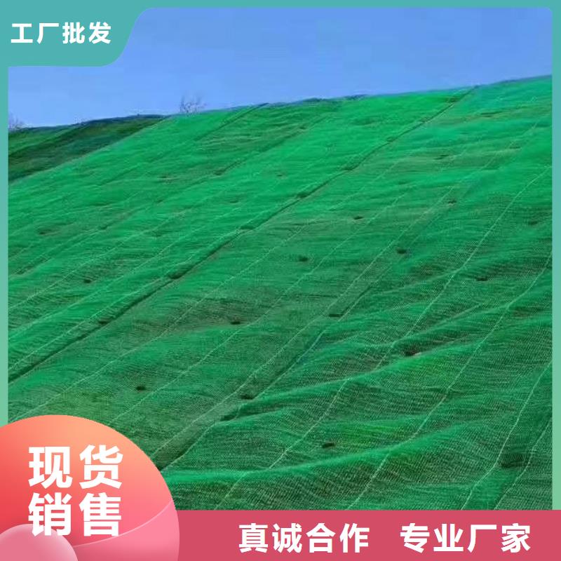 三维植被网-车库虹吸排水系统厂家销售