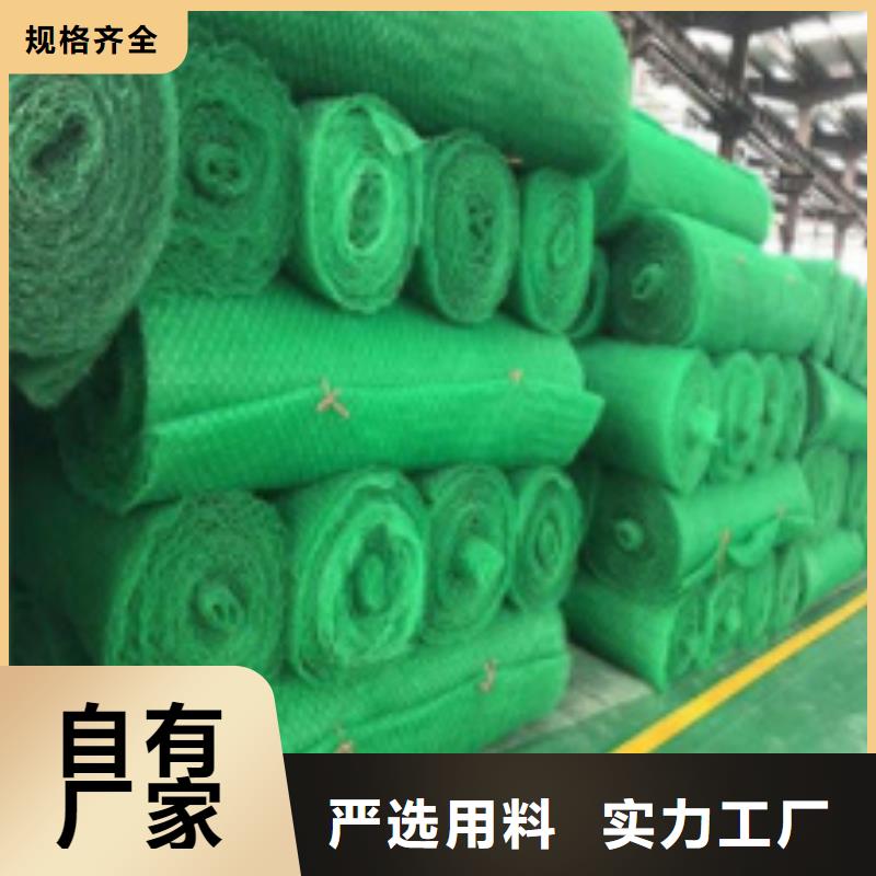 三维植被网排水板供货及时