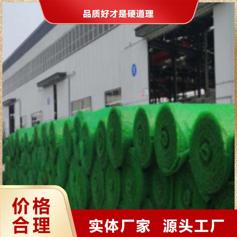 三维植被网_防护虹吸排水收集系统可定制