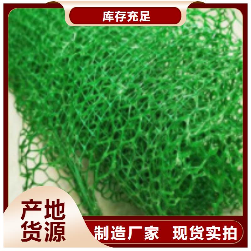 三维植被网植草格用心做好每一件产品