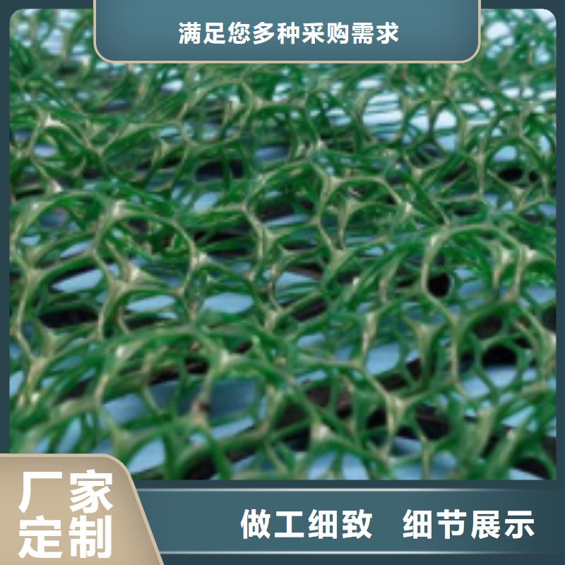 三维植被网排水板供货及时