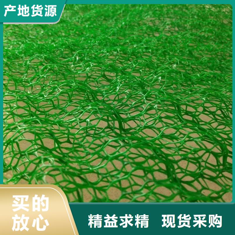 三维植被网排水板供货及时