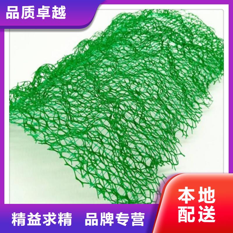 三维植被网-水泥化粪池商家