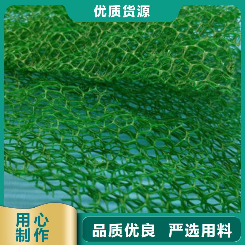 三维植被网,车库虹吸排水系统性价比高