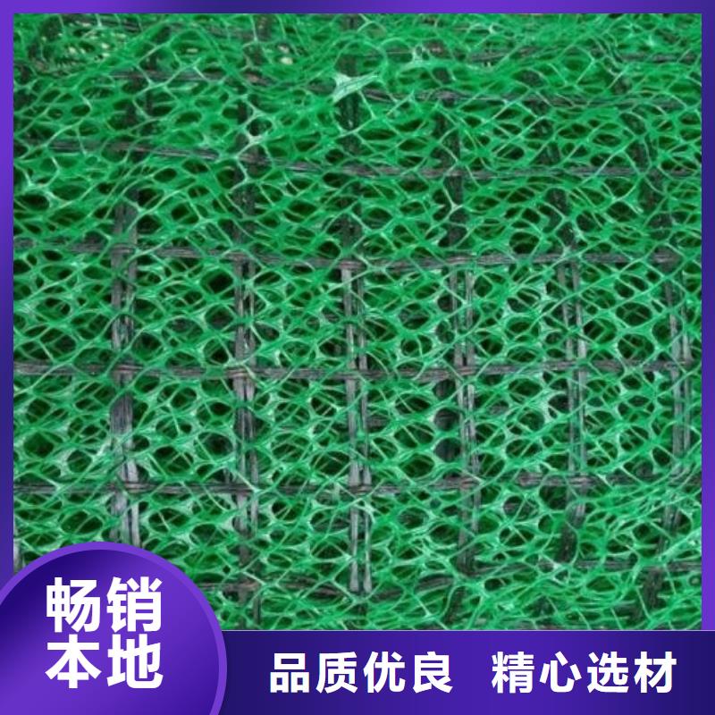 三维植被网植草格匠心制造