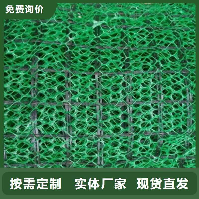 三维植被网植草格用心做好每一件产品