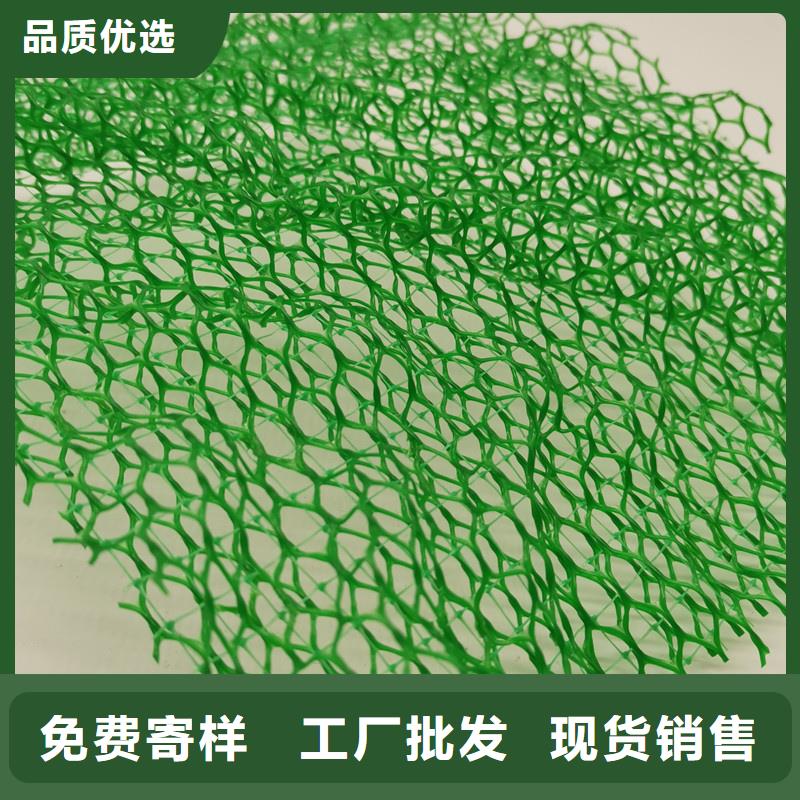 三维植被网_防护虹吸排水收集系统可定制