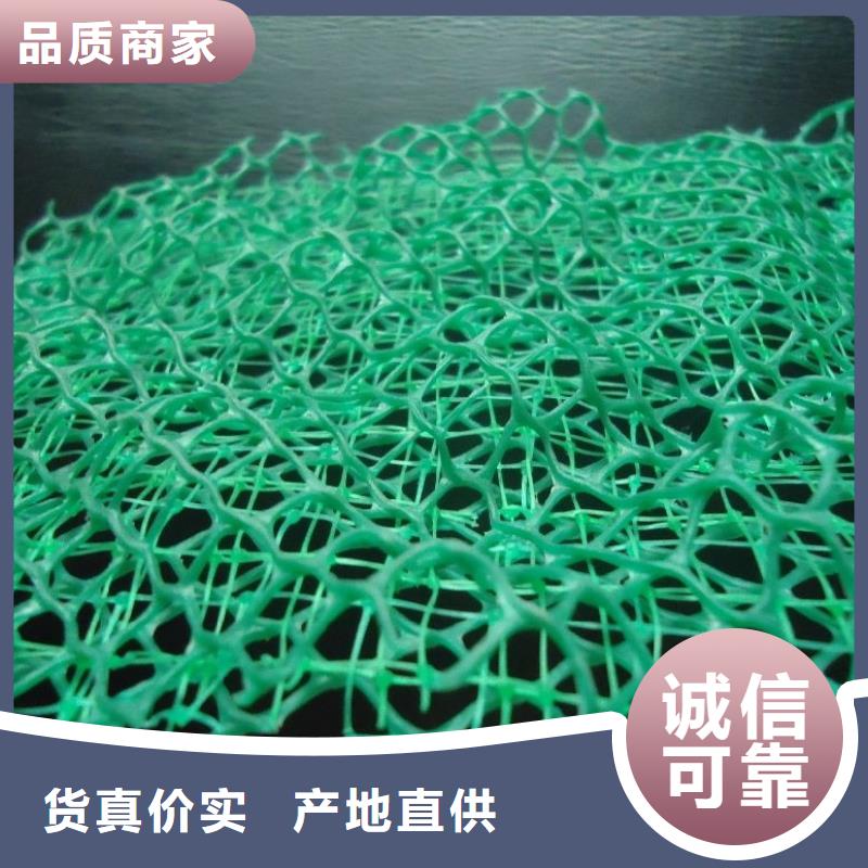 三维植被网_防护虹吸排水收集系统可定制