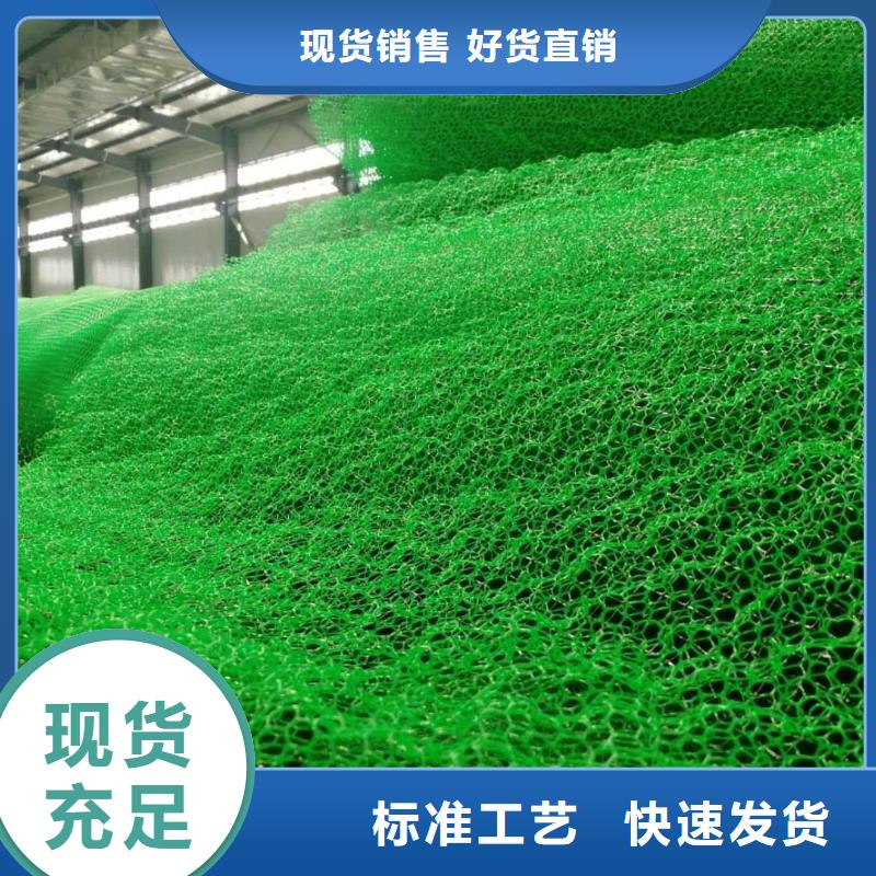三维植被网_防护虹吸排水收集系统可定制