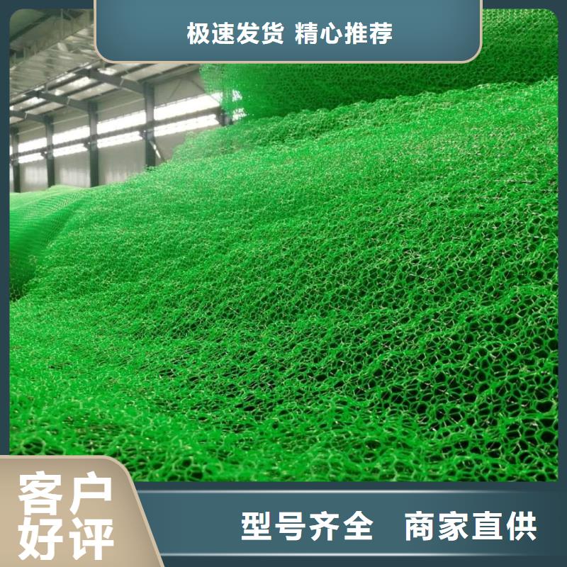 三维植被网,防护虹吸排水收集系统好产品好服务
