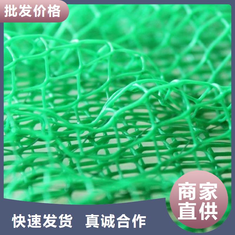 三维植被网-水泥化粪池商家
