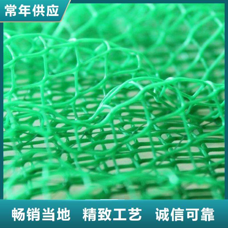 三维植被网_防护虹吸排水收集系统可定制