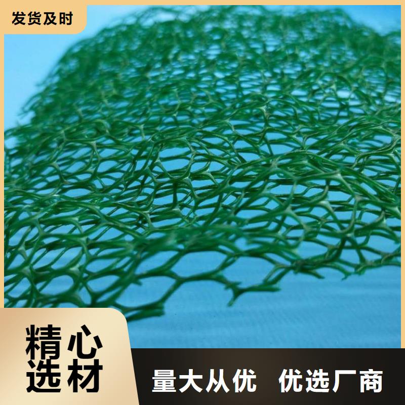 三维植被网_防护虹吸排水收集系统可定制
