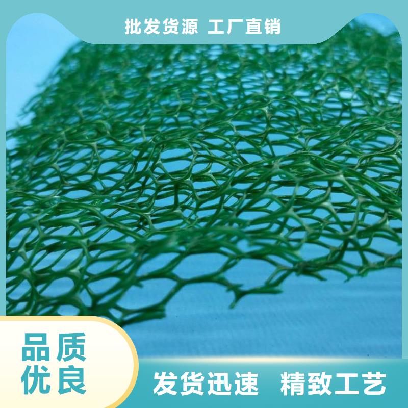 三维植被网植草格匠心制造