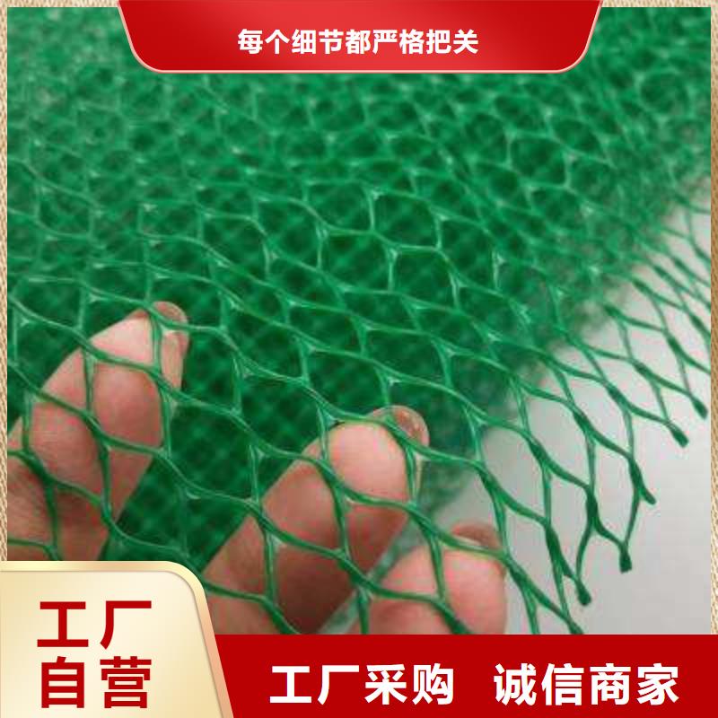 三维植被网水泥化粪池今日新品
