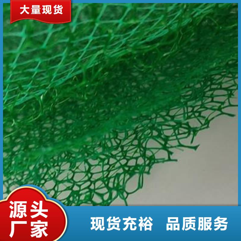 三维植被网_防护虹吸排水收集系统可定制