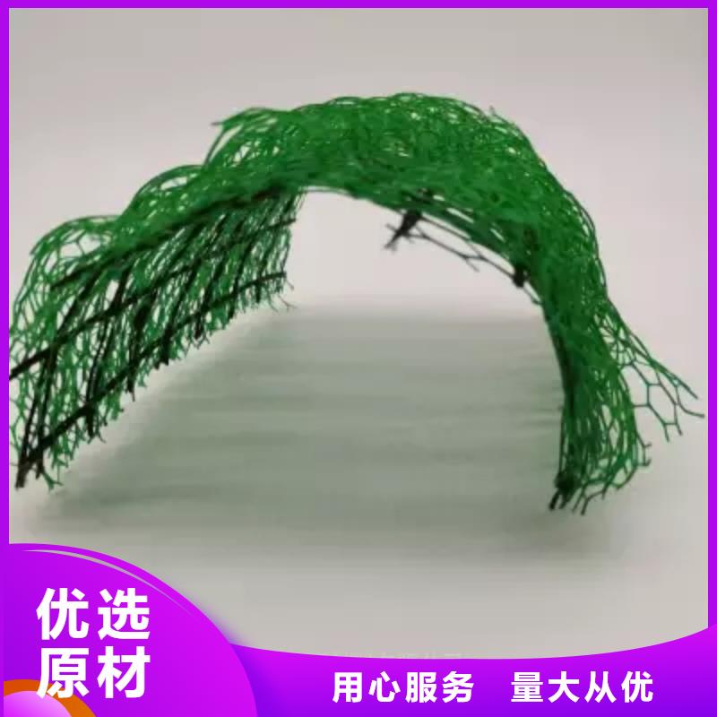三维植被网-水泥化粪池商家