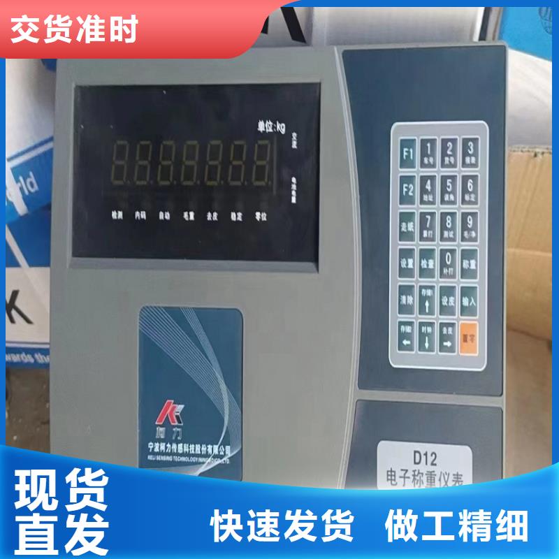 地磅电子衡器当地厂家值得信赖
