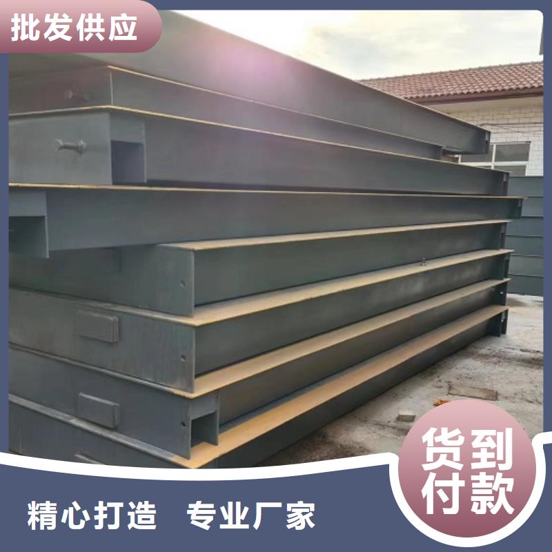 地磅,仪表一手货源源头厂家