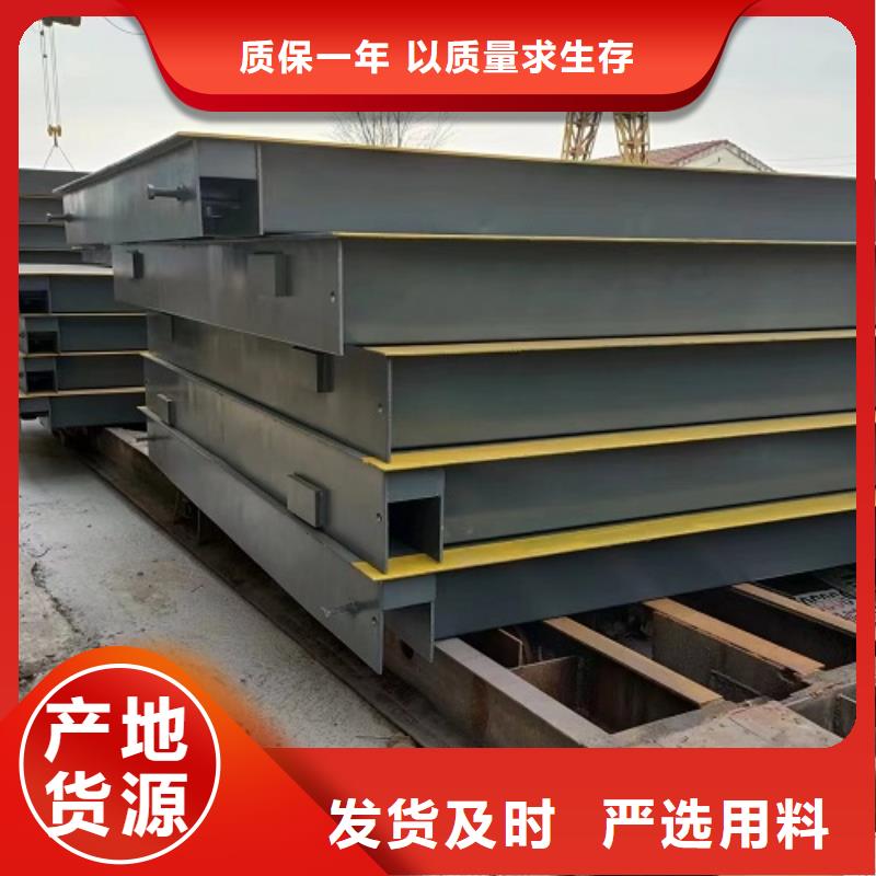 电子地磅,电子平台秤品质可靠