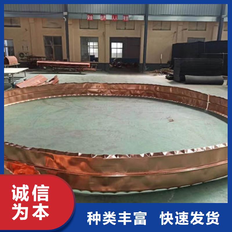 止水铜片紫铜片止水多年实力厂家
