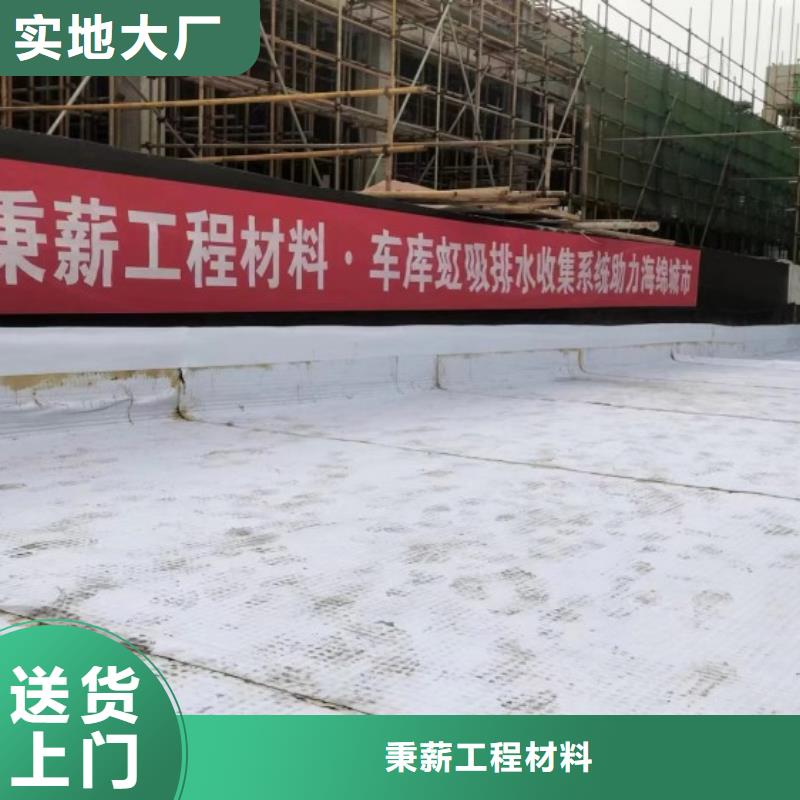 排水板滤水板品质保障价格合理