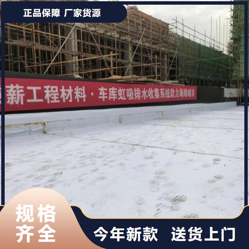 排水板,塑料排水板值得信赖