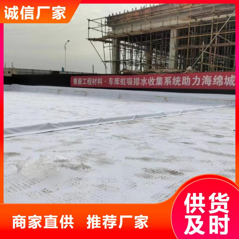 排水板土工格栅实力商家供货稳定