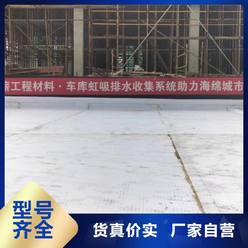 排水板,防水毯匠心品质