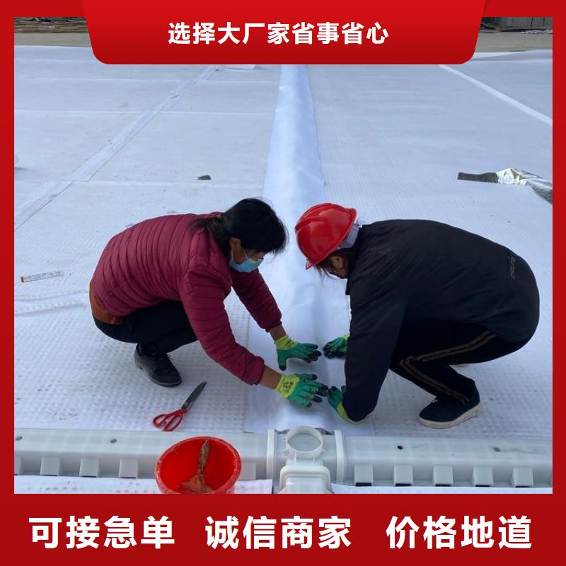 车库排水板视频-河北省张家口市|沽源|崇礼|石家庄|承德|邢台|唐山|廊坊车库排水板-秉薪