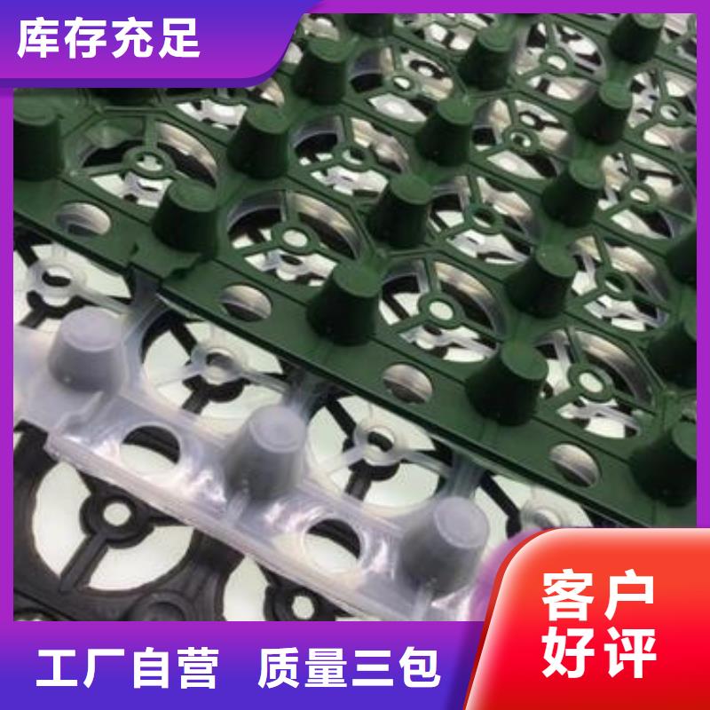 塑料凹凸型排蓄水板——全国直销