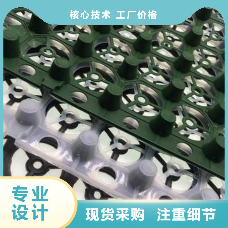  排水板专业生产品质保证