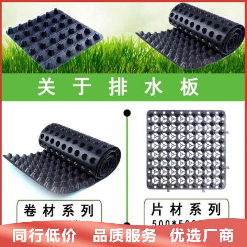 排水板,滤水板实力雄厚品质保障