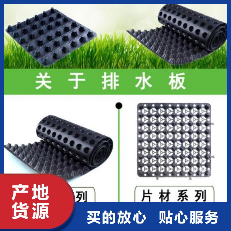 排水板土工膜产地厂家直销