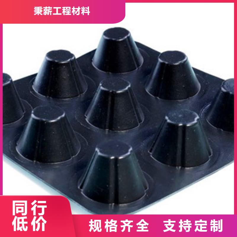 排水板 滤水板的图文介绍