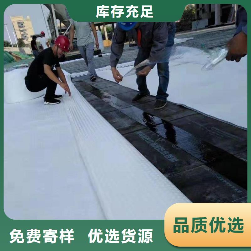 排水板滤水板快速报价