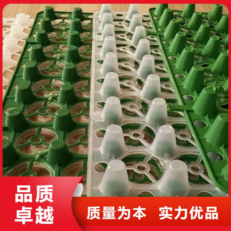 新闻：蓄水排水板##来电议价