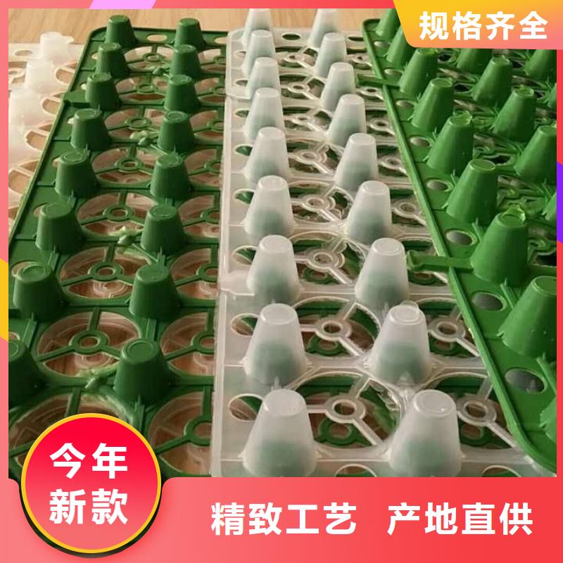 车库排水板视频-车库排水板-直辖澳门【同城】生产商