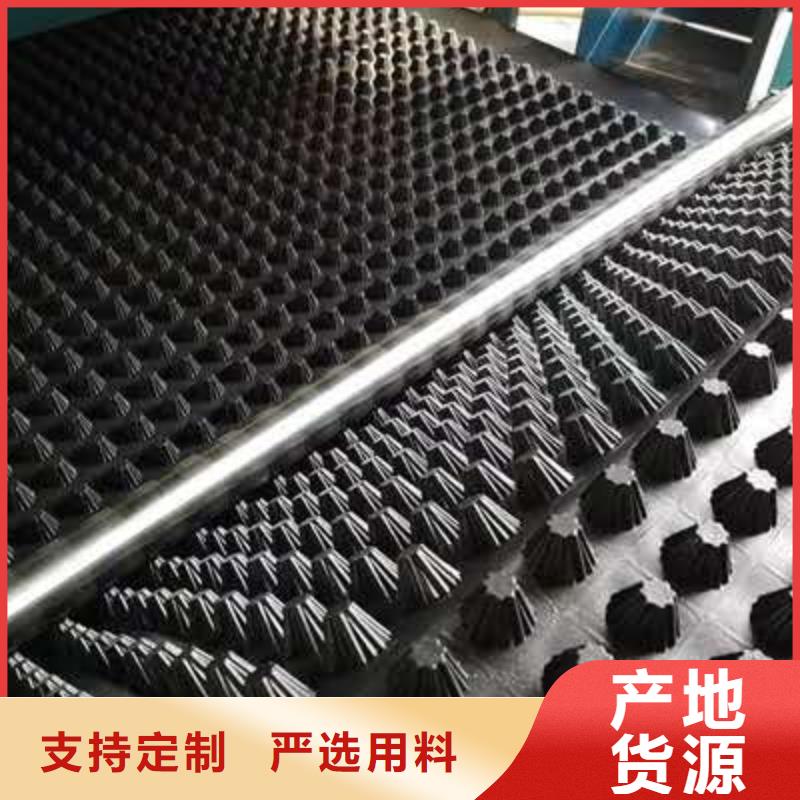 排水板土工格栅实力商家供货稳定