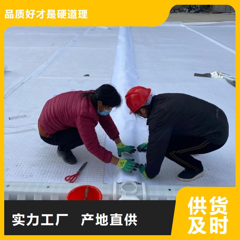车库排水板视频-内蒙古锡林郭勒市|赤峰|兴安|鄂尔多斯|阿拉善|呼伦贝尔车库排水板-秉薪