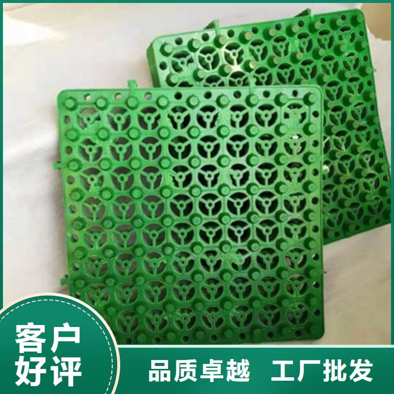 排水板 土工格栅精心选材