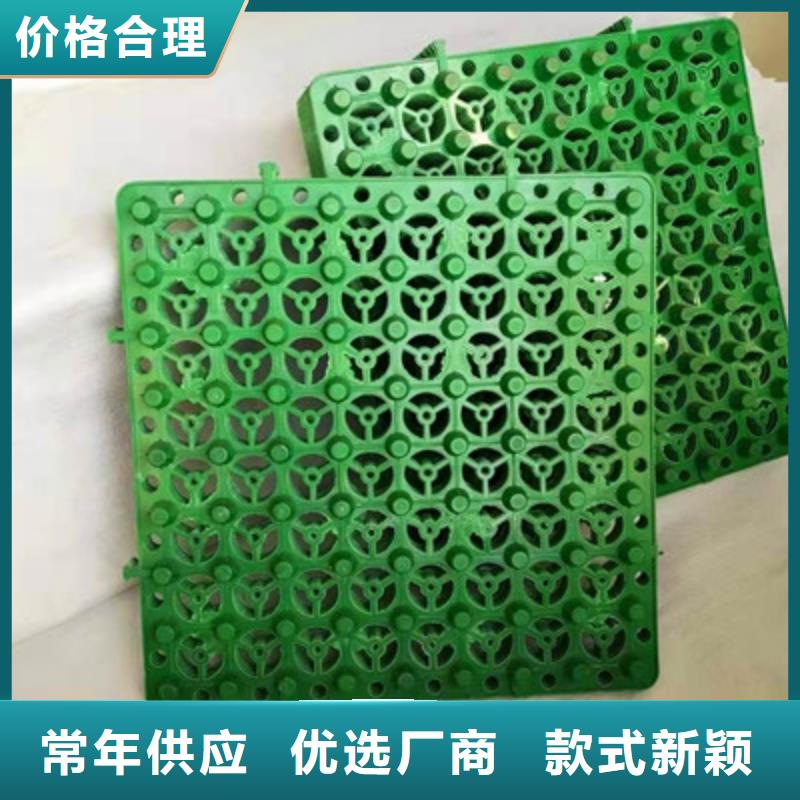 排水板土工布市场行情