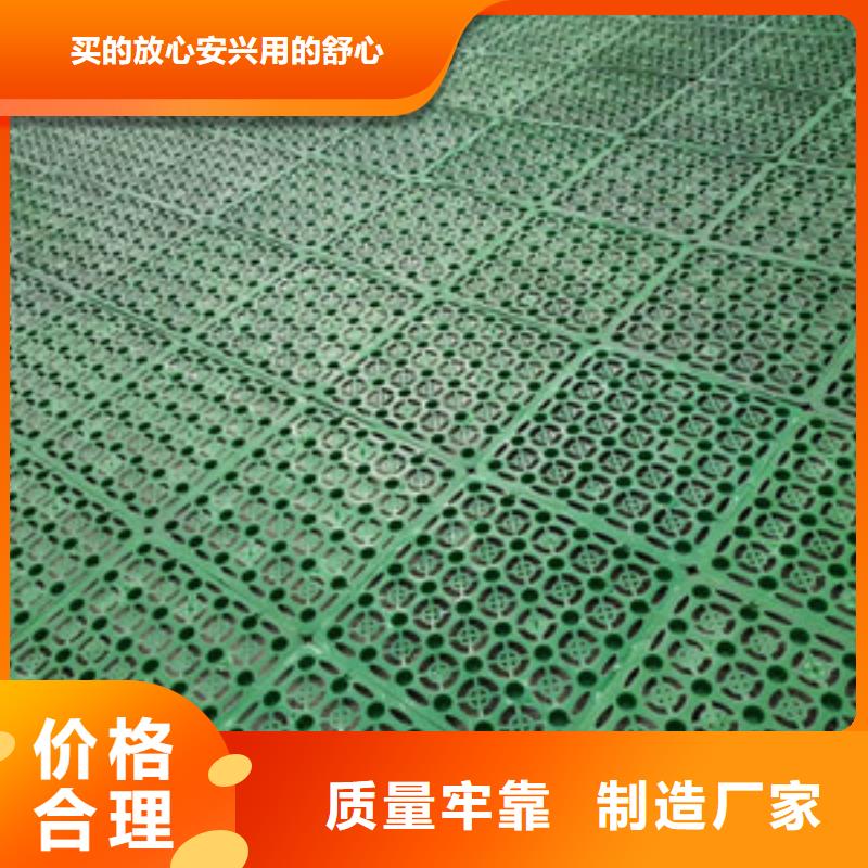 排水板 蓄水板好产品价格低