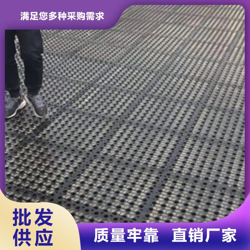 排水板滤水板用心做好每一件产品