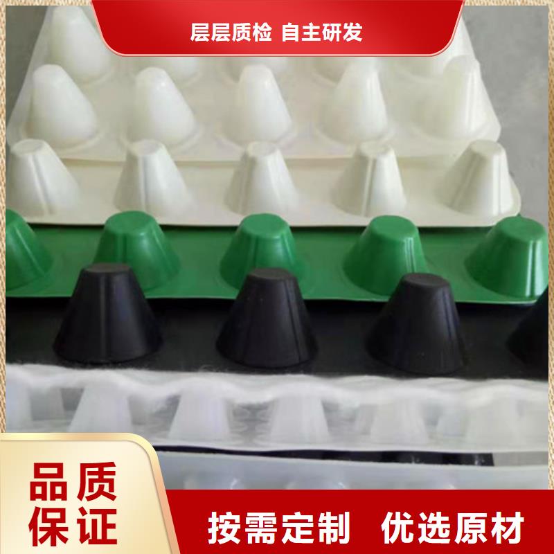排水板 土工格栅精心选材